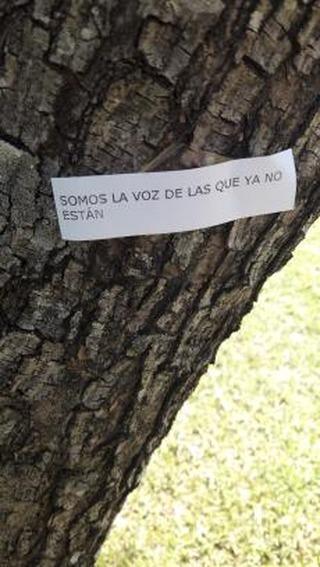 IMG_20210308_161728_204