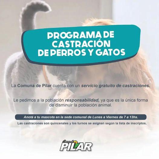 299183683_1998465463697262_7394189343893285409_n