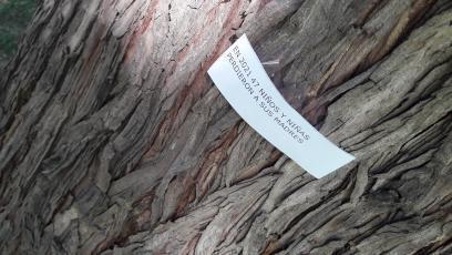 IMG_20210308_161723_945