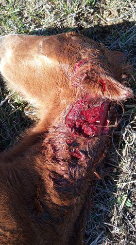 301505243_607540997485399_7636833657427838053_n (1)