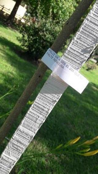 IMG_20210308_161740_029