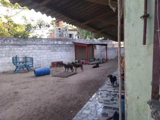 73228709_2459965654257894_767787122840043520_n