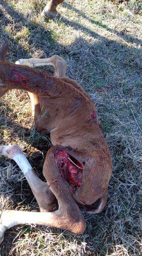 305052614_402535225333636_2188236231725804421_n