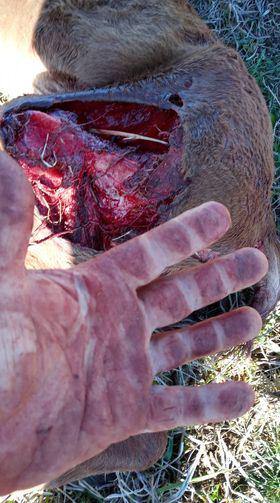 285055317_611596423821566_2769074425314857952_n