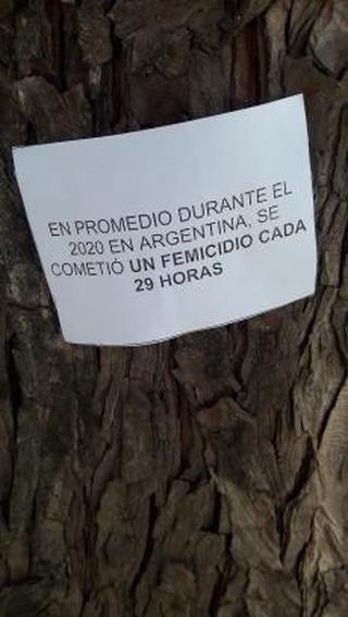 IMG_20210308_161735_654