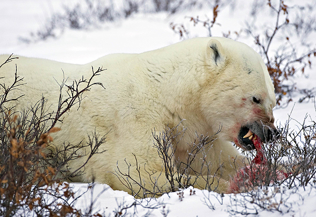 8604_26111_507887978