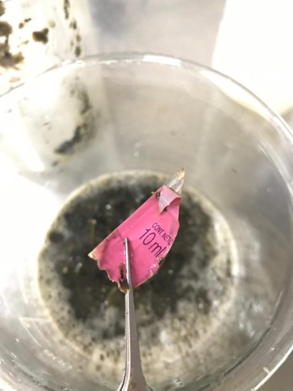 plasticos-en-el-parana-6-e1569629713272