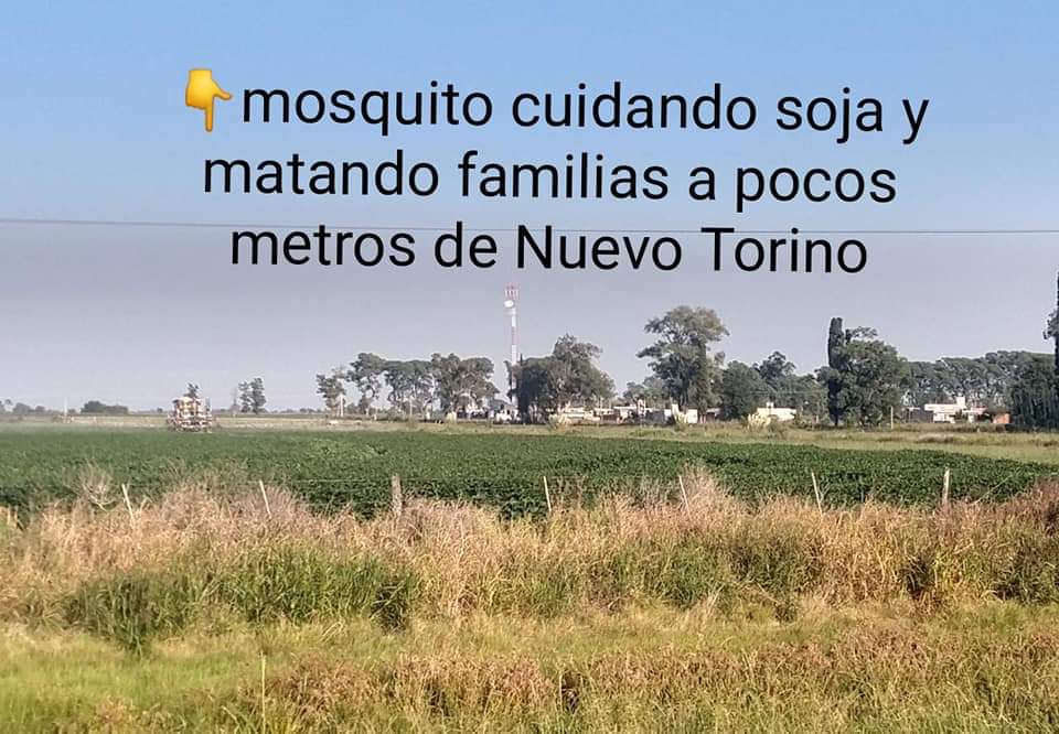 FB_IMG_1583206369054