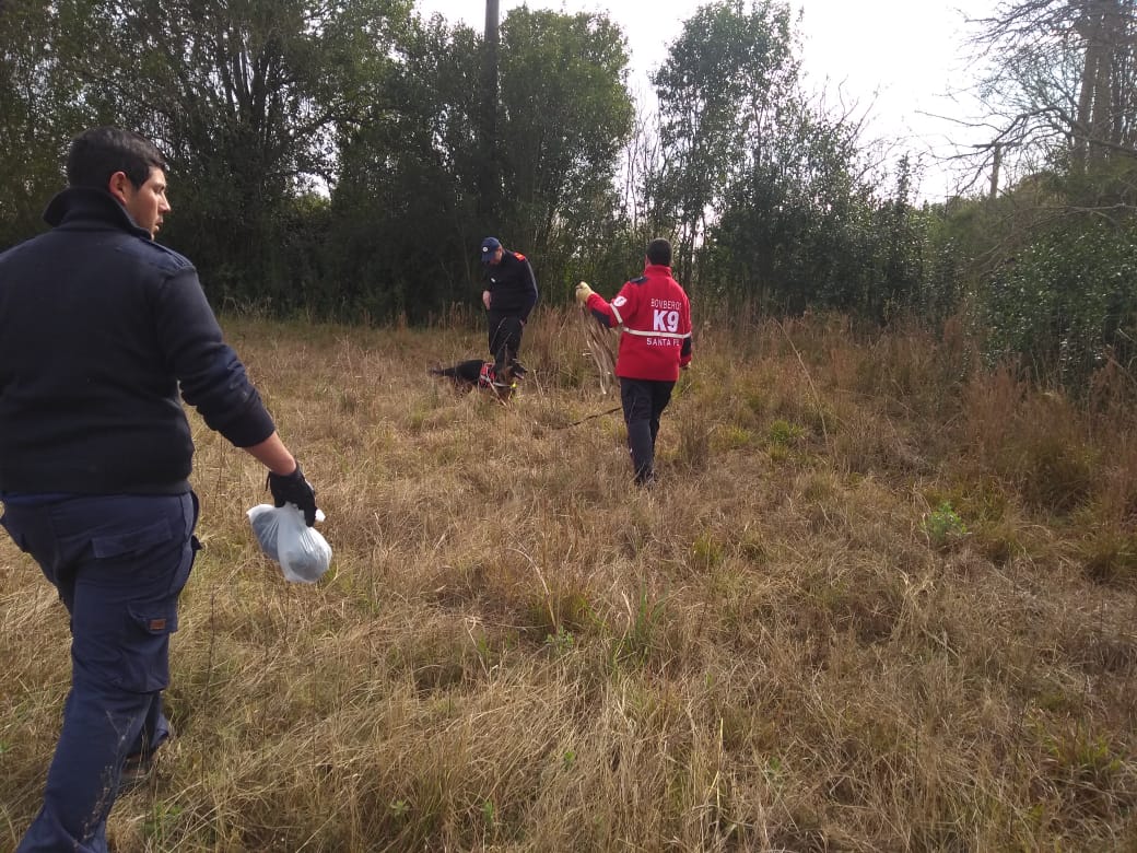 WhatsApp Image 2019-07-14 at 18.59.01