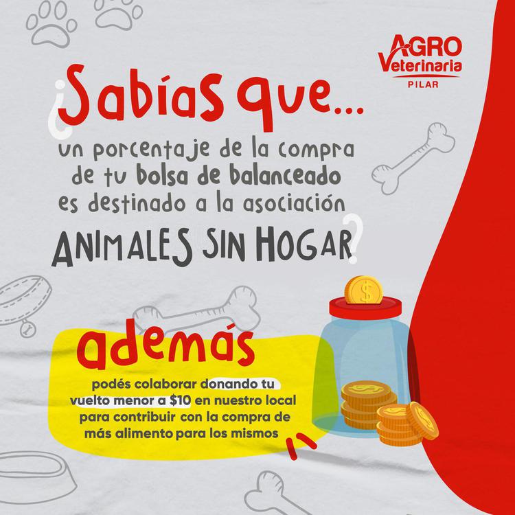 240534382_1007555573310756_3375046310662413366_n