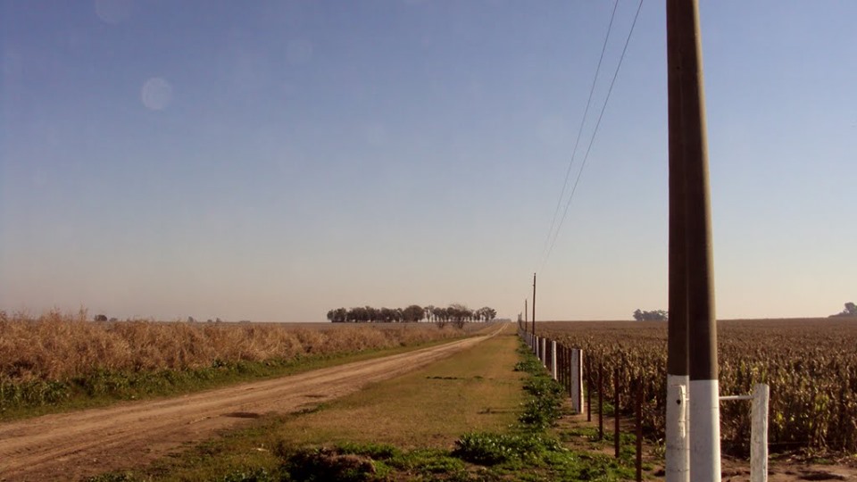 59871148_2276204962628328_6615907119554101248_n