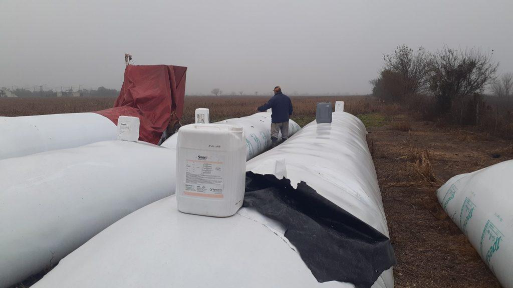 Silobolsas-Pujato-2020-1024x576