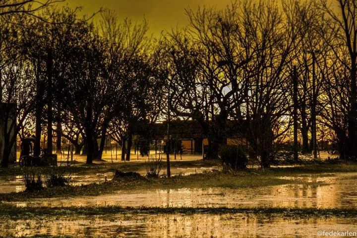 FB_IMG_1478864909088