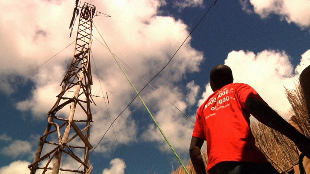 WilliamlookingupGrain