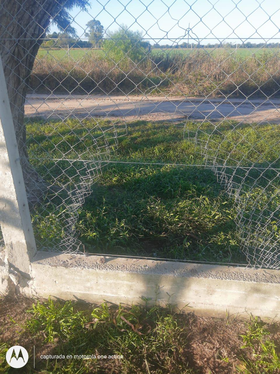 tejido dañado