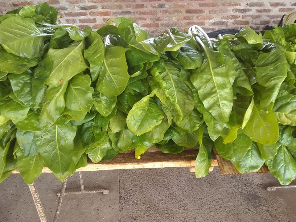 200504805_2910793589187026_7153575695896322859_n