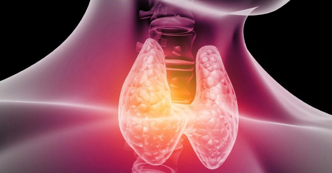 YRap3YlZ9hFf5K3gabEP9W9SQwqKNA-1068x559