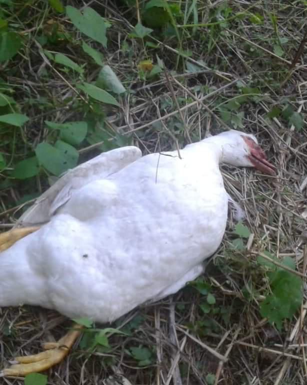 FB_IMG_1618003263208