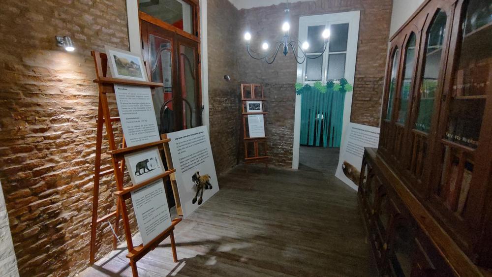 IMG_20230605_183913256_HDR