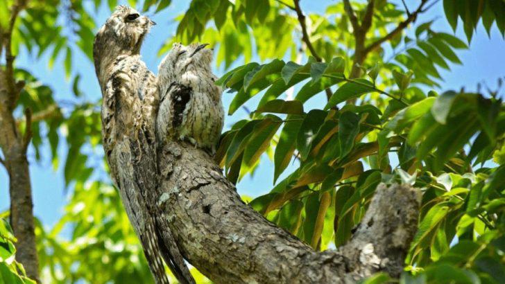 1577920277843-728x410