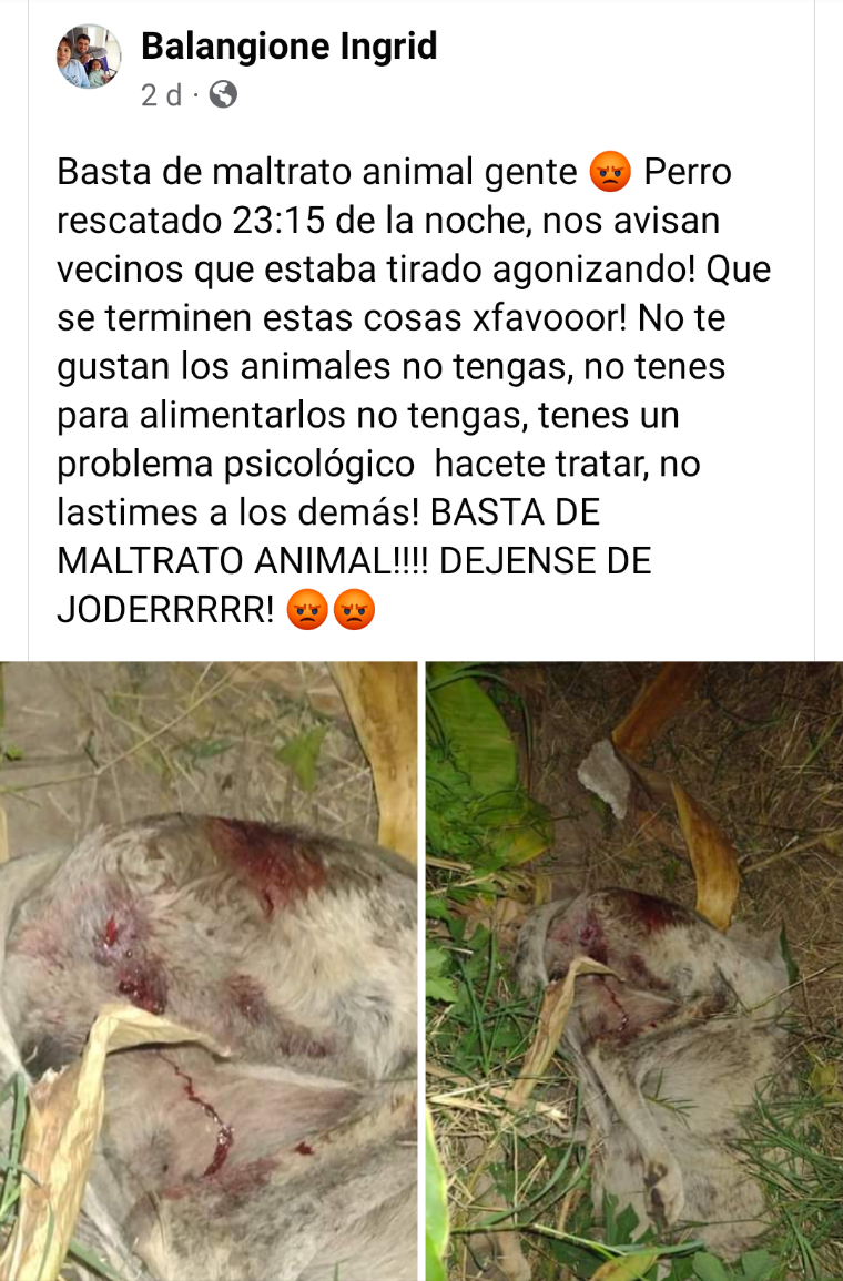 Screenshot_20220529-165642