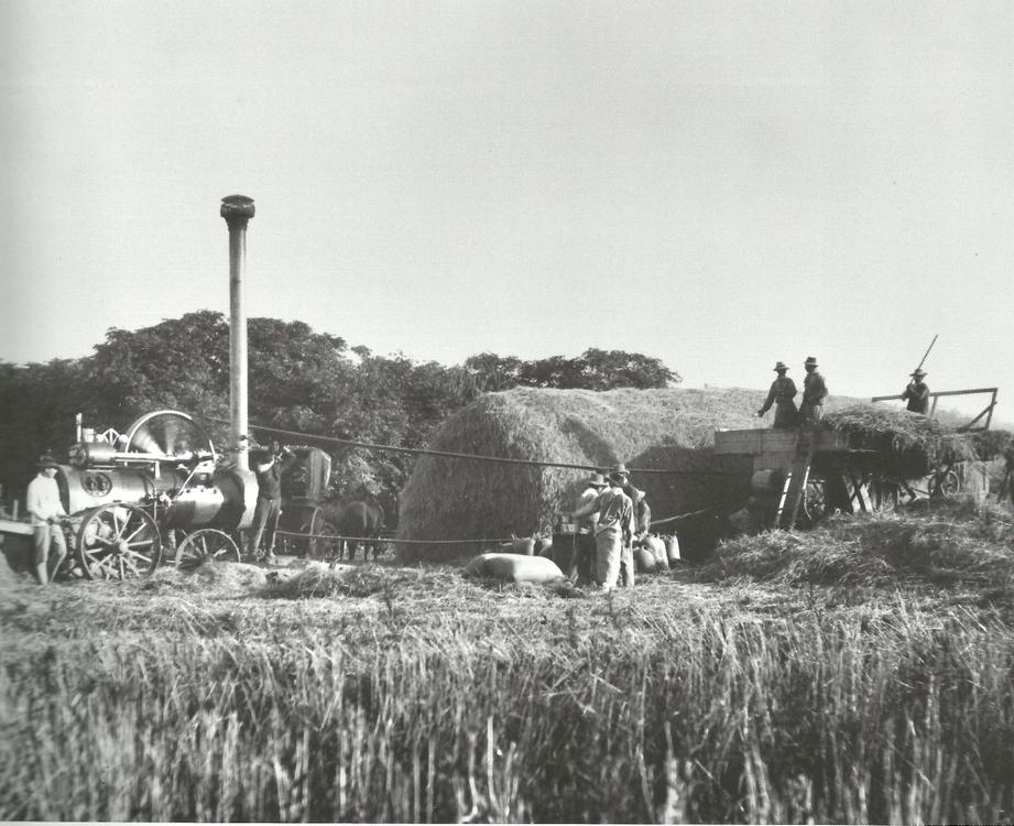 1079112_1401582140061638_537864019_o