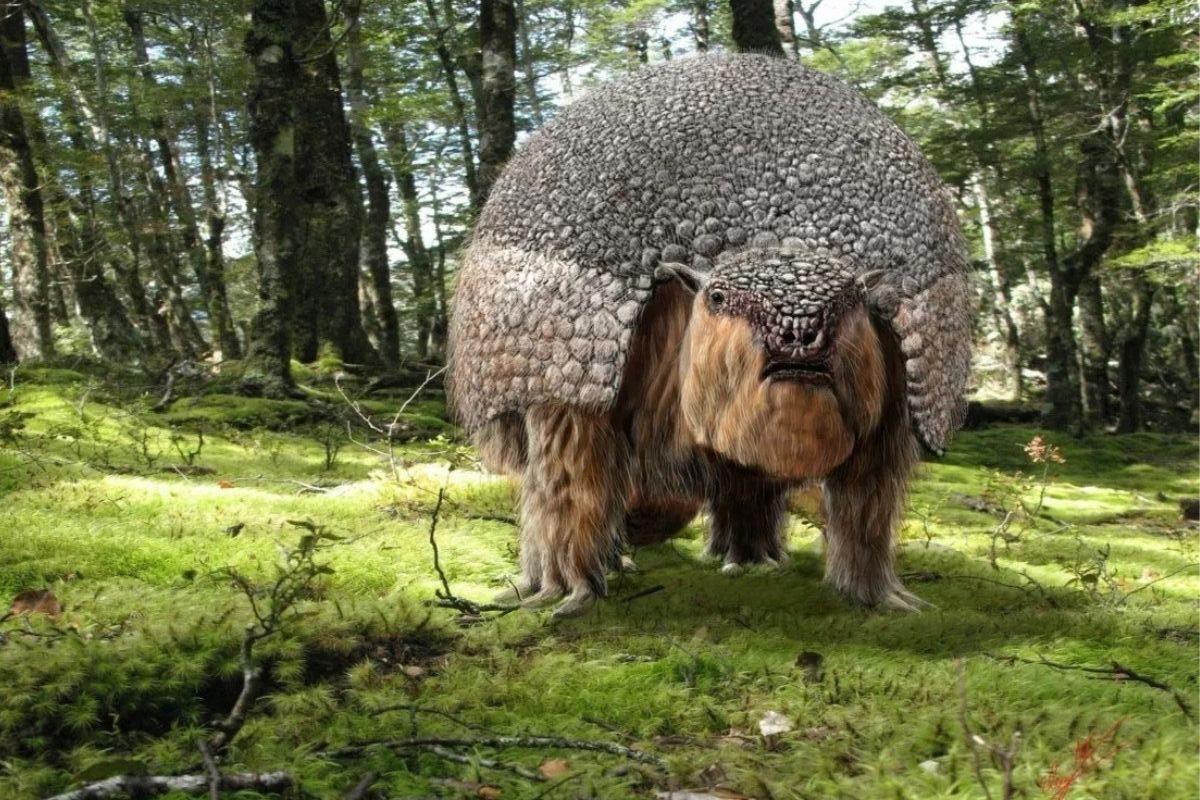 gliptodonte-DEF