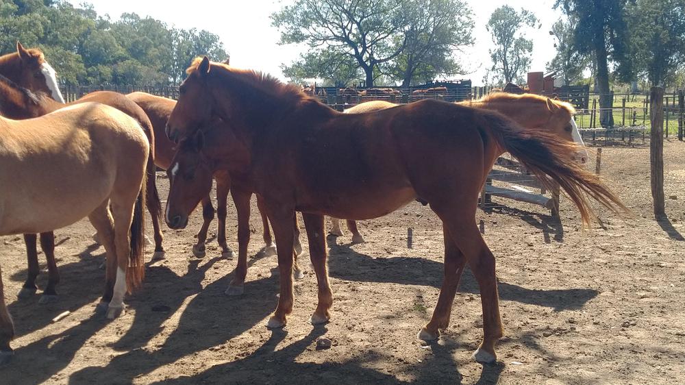 IMG_20220904_111708076