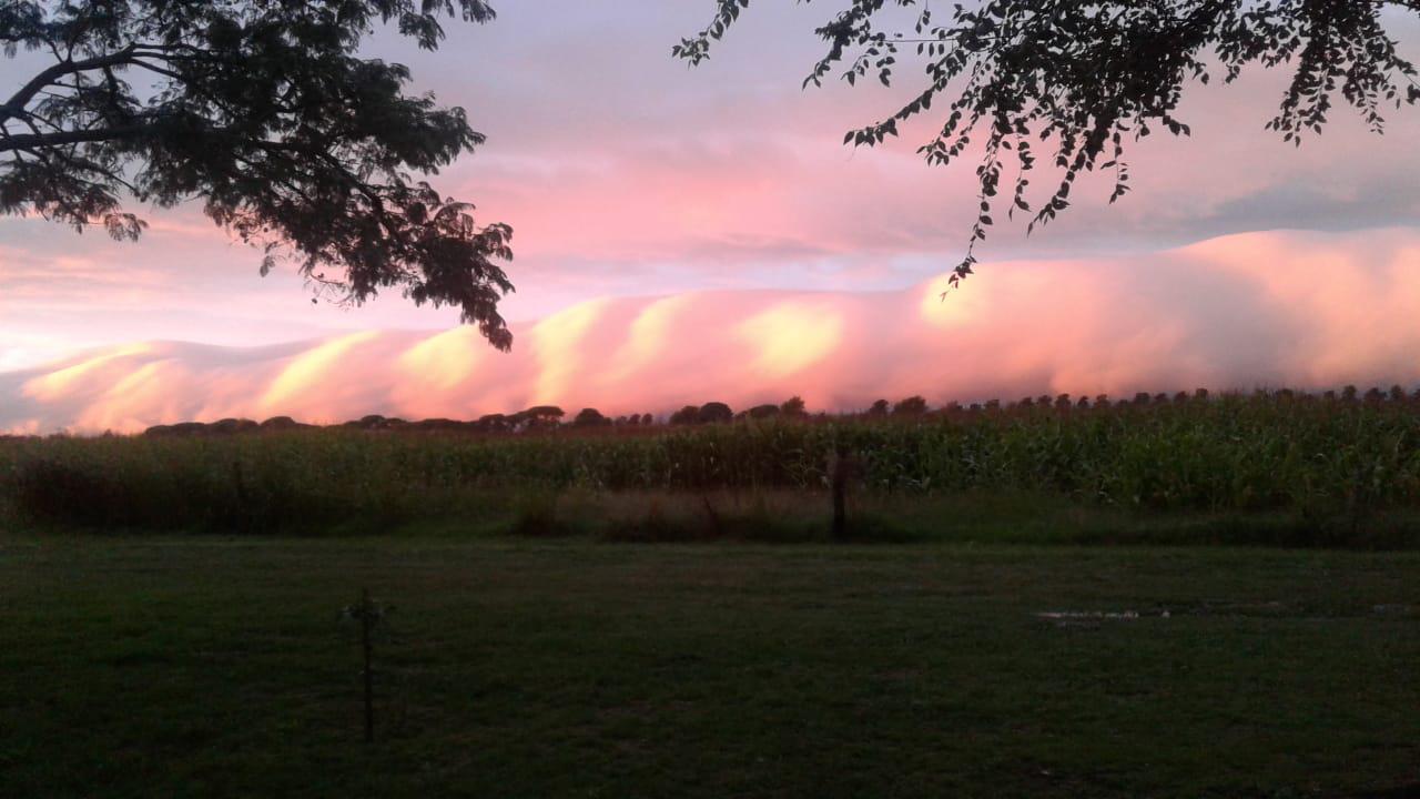 WhatsApp Image 2022-04-11 at 9.00.15 AM