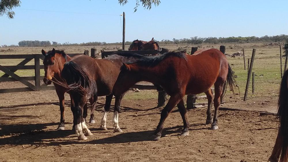 IMG_20220904_111655976