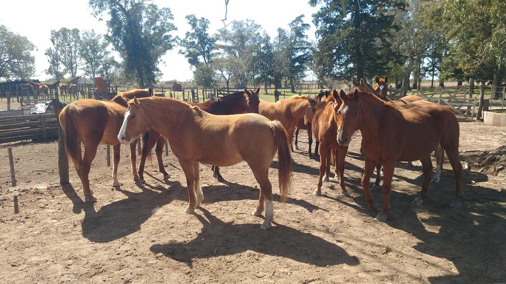 IMG_20220904_111816745