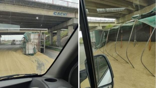 s_a49edab186fef69deb169