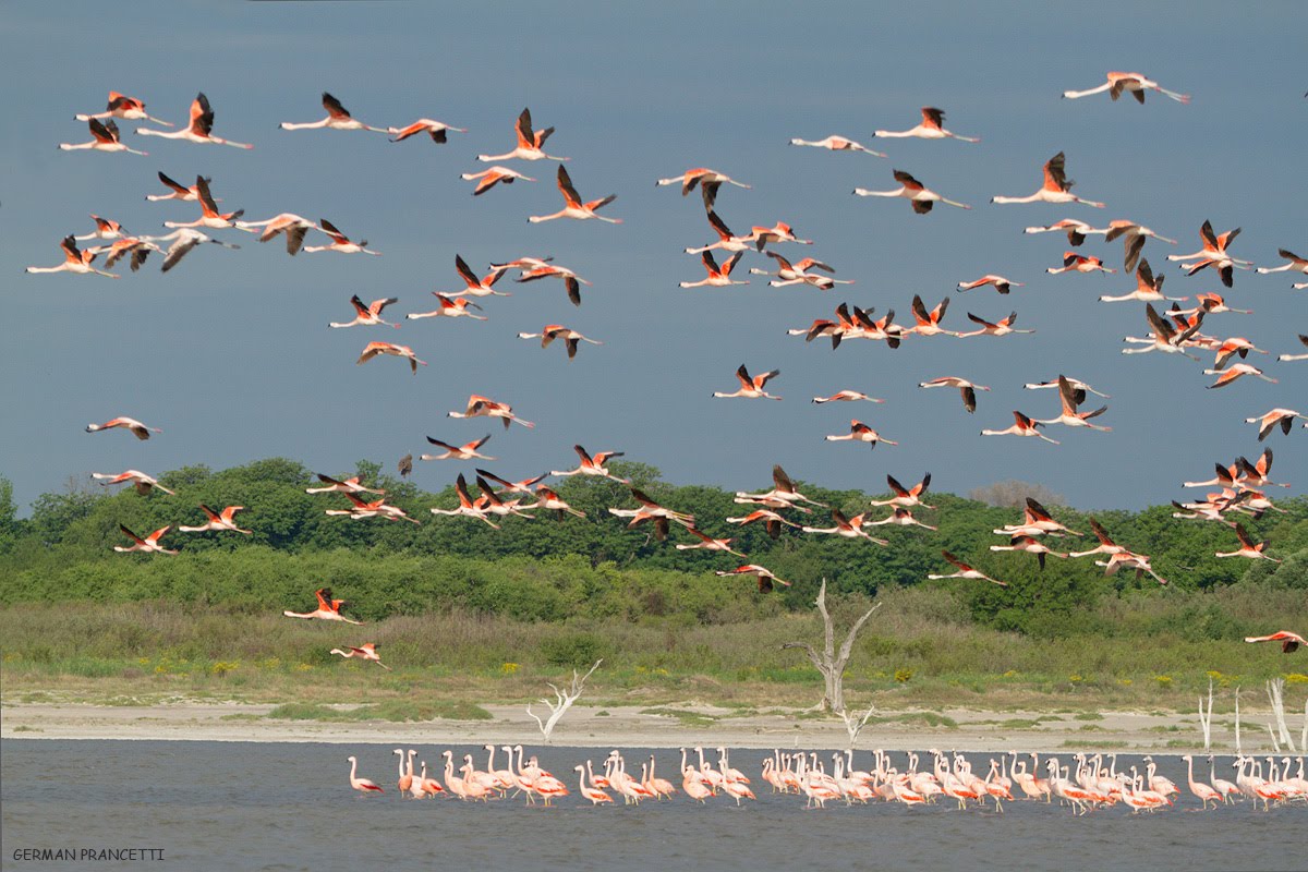 111_MG_6136-como-objeto-inteligente-1