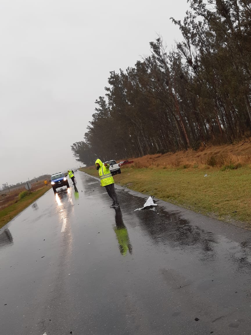 WhatsApp Image 2019-09-09 at 09.43.26