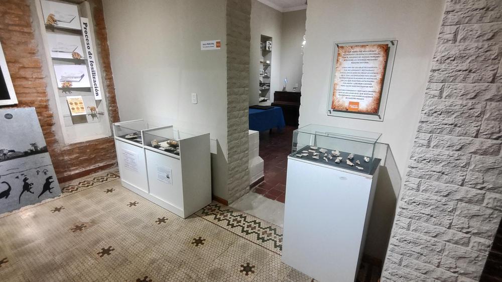 IMG_20230605_183918000_HDR