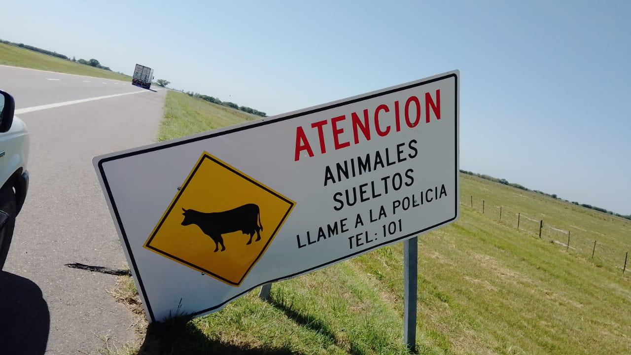 WhatsApp Image 2022-02-18 at 11.19.11