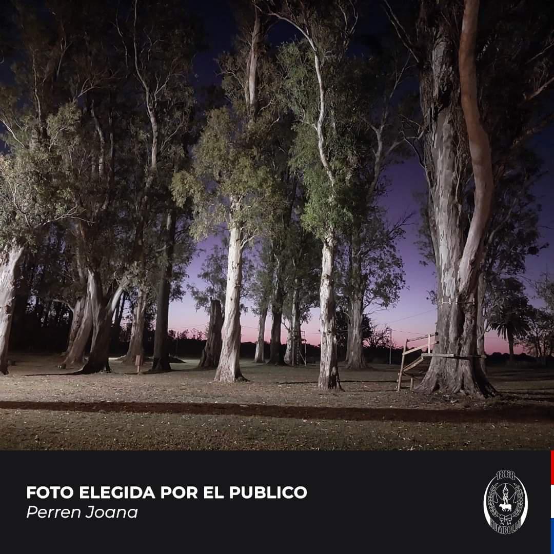 FB_IMG_1674938514233