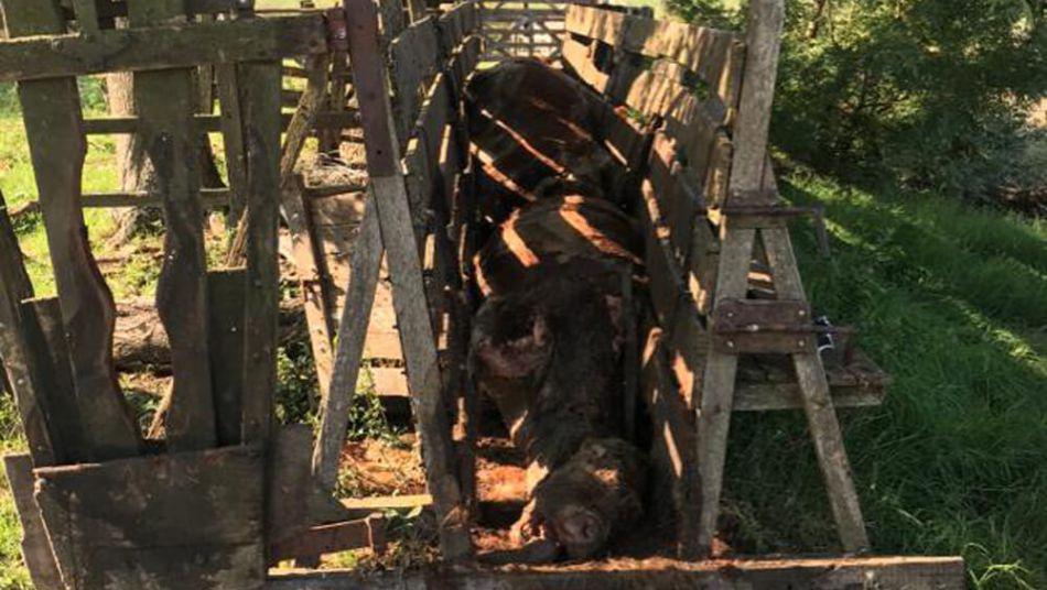 5e81e3a34baff_950_536!