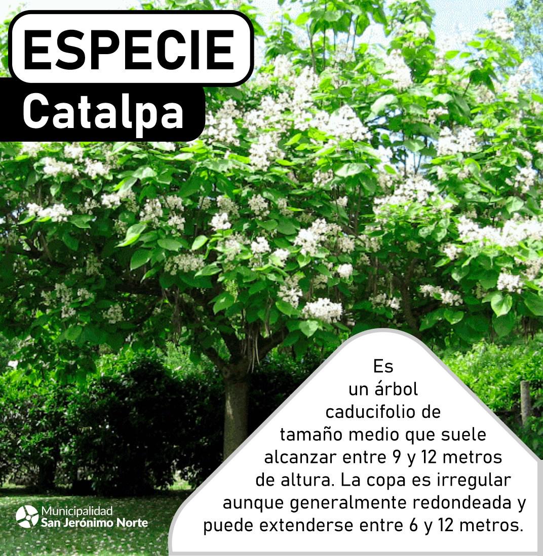 439929524_842065031288827_5950825584704343267_n