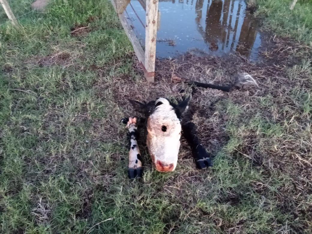 WhatsApp Image 2021-04-13 at 12.19.24