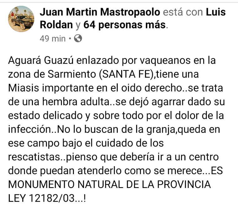 Screenshot_20200528-210000