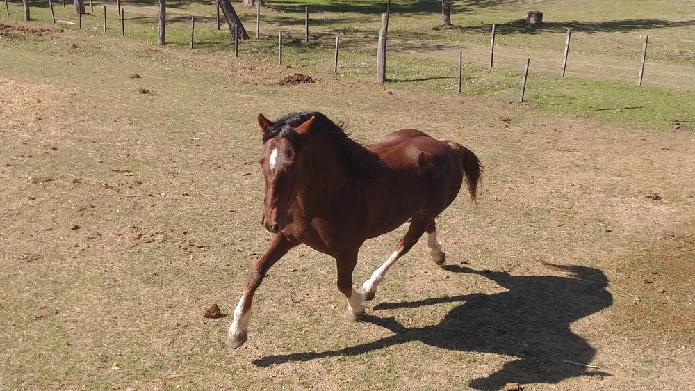 IMG_20220904_110336054