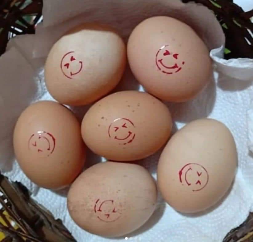 FB_IMG_1632007968058