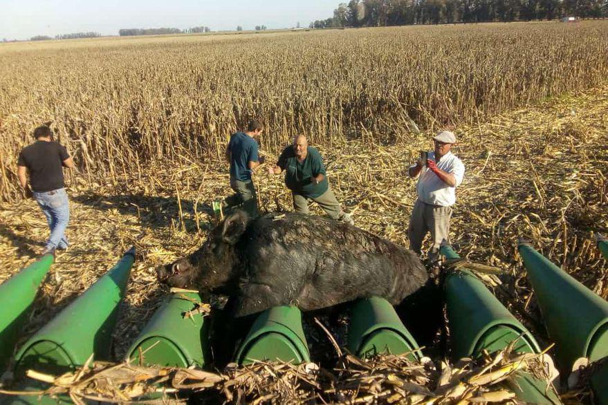 FRRG4PHTV5BSRAXDD6DWPY7USU