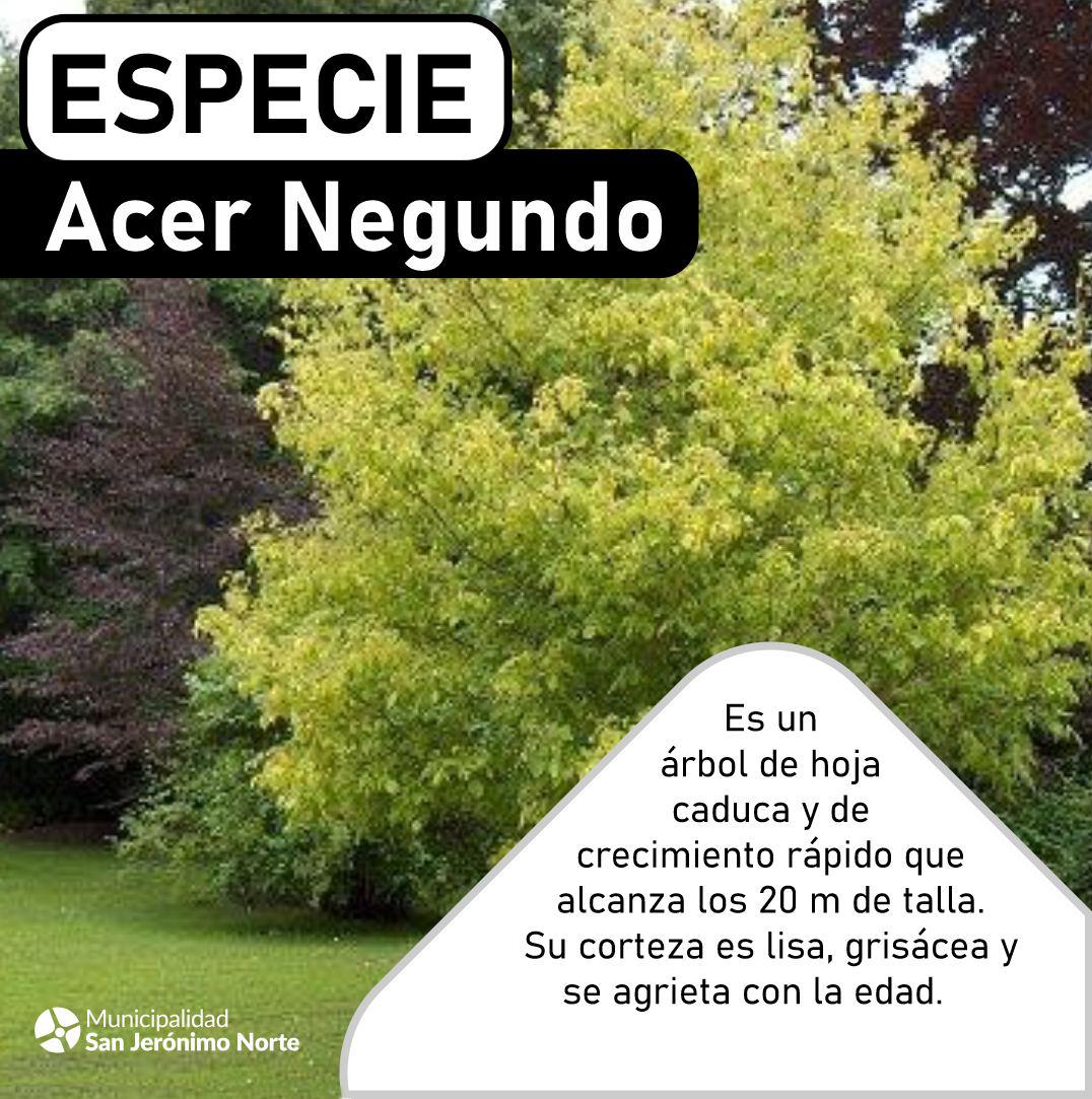 439849641_842065067955490_9206955694181713372_n