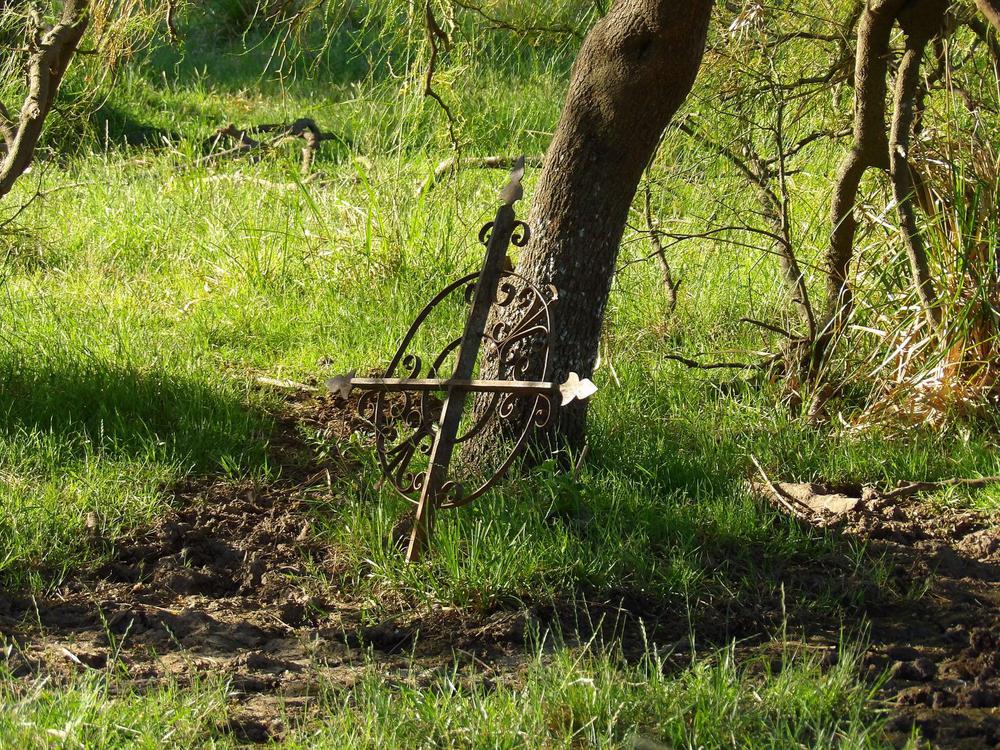 135294352_790143355045316_4570096735146245113_o