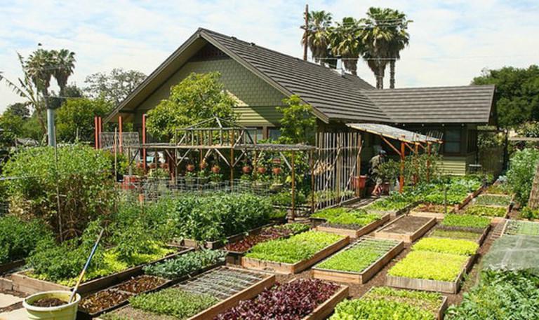 17907883631_d0507d8f1d_z