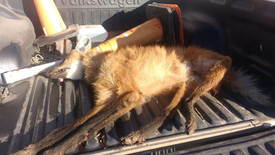 92631838_10219435686501299_5297498141325524992_o