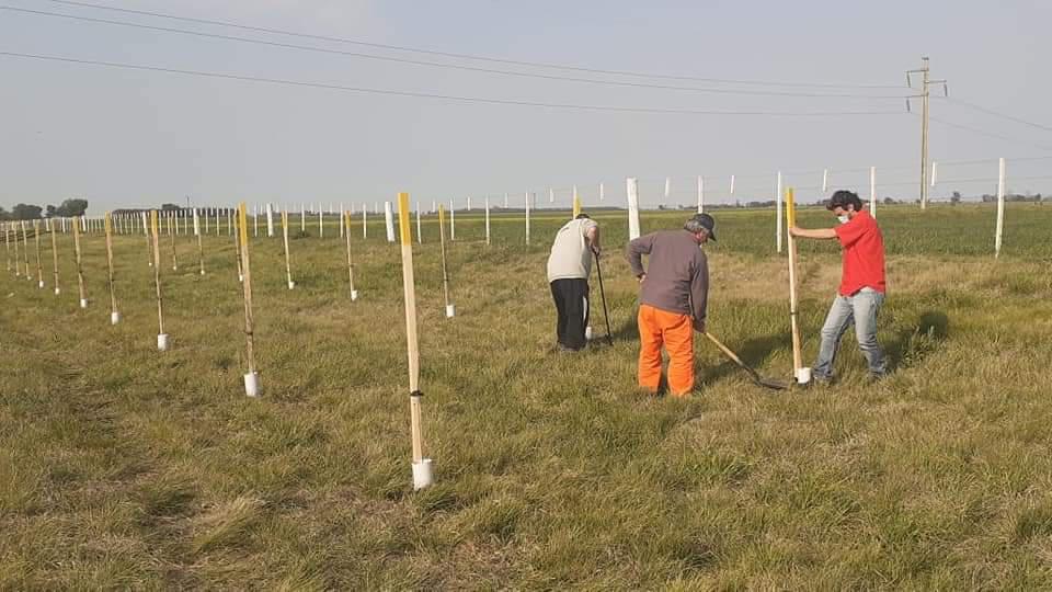 WhatsApp-Image-2020-12-30-at-17.22.48