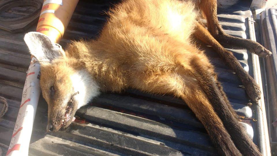 92875571_10219435726462298_2244375206799867904_o